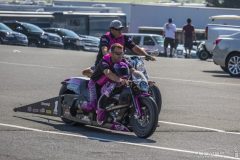 auto_plus_2013-182