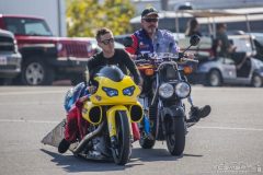 auto_plus_2013-219