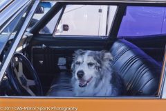 11-08-speed_week-1562