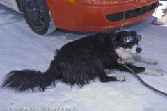 11-08-speed_week-1608