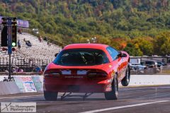 dutch-classics-117-1