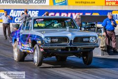 dutch-classics-280