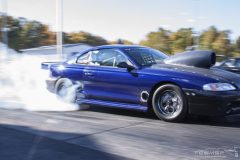 ford_fever-100