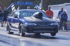 ford_fever-102