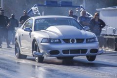 ford_fever-105