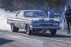 ford_fever-106