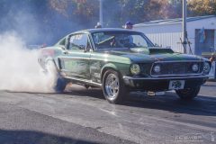 ford_fever-109