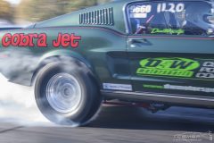 ford_fever-110