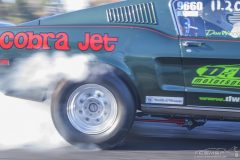 ford_fever-111
