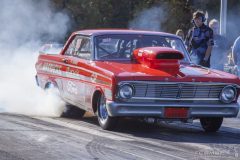 ford_fever-114