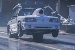 ford_fever-123