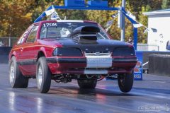 ford_fever-18