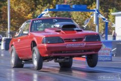 ford_fever-19