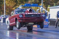 ford_fever-21