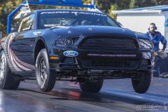 ford_fever-28