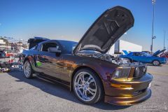 ford_fever-3