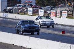 ford_fever-32