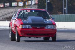 ford_fever-46