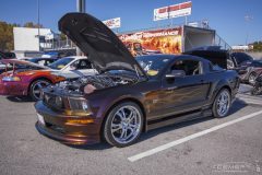 ford_fever-5