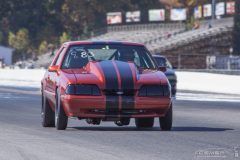 ford_fever-52