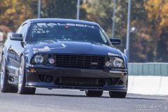 ford_fever-60