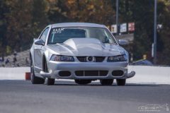 ford_fever-80