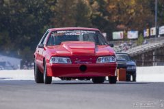 ford_fever-82