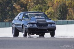 ford_fever-83