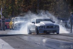 ford_fever-88