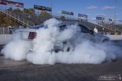 ford_fever-91