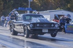 ford_fever-97