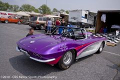 pinks-all-out_0697