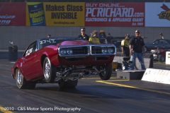 pinks-all-out_1159