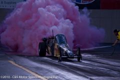 pinks-all-out_1218