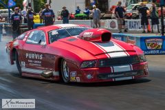 prisedents-cup-sat-244