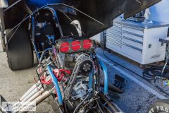 prisedents-cup-sat-304