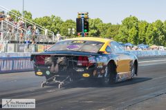 prisedents-cup-sat-365