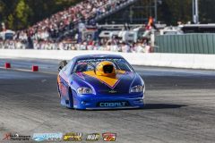wcf-2016-sun-116