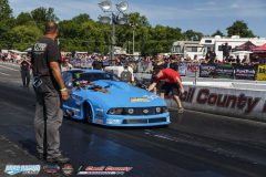 yellow-bullet-fri-103