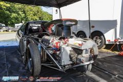 yellow-bullet-fri-11