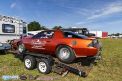 yellow-bullet-fri-14