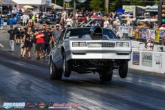 yellow-bullet-fri-142