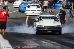 yellow-bullet-fri-146