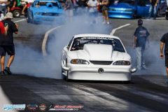 yellow-bullet-fri-148