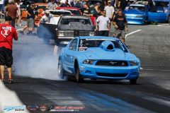 yellow-bullet-fri-149