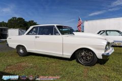 yellow-bullet-fri-15