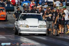 yellow-bullet-fri-157