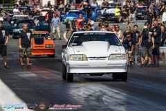 yellow-bullet-fri-158