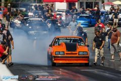 yellow-bullet-fri-161