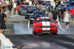 yellow-bullet-fri-179